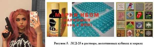 крисы Козельск