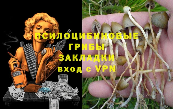спайс Кинешма